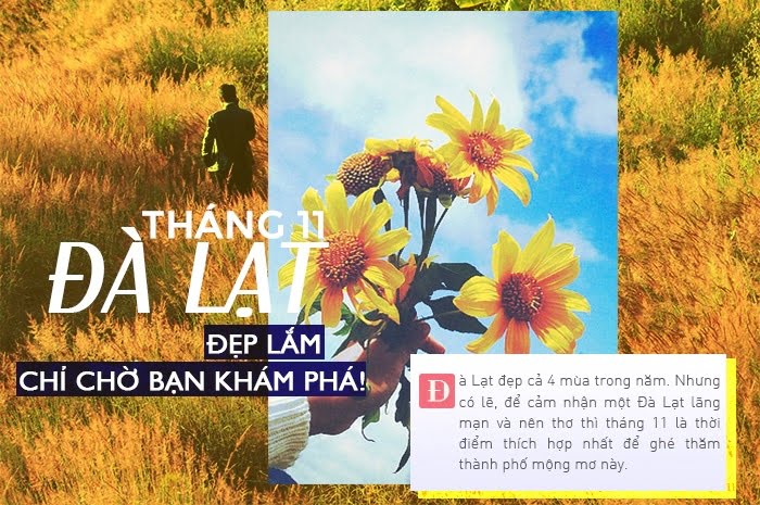 kinh nghiem du lich Da lat thang 11