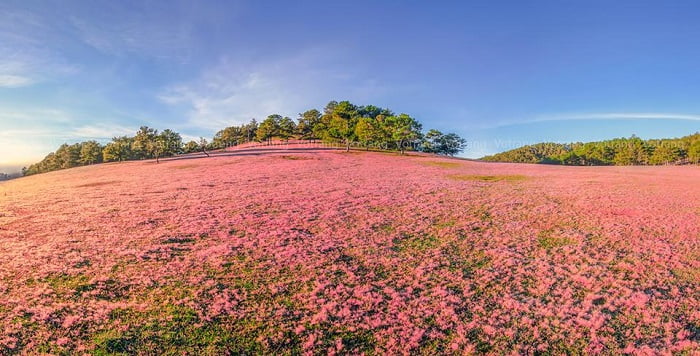 kinh nghiem du lich Da lat thang 11