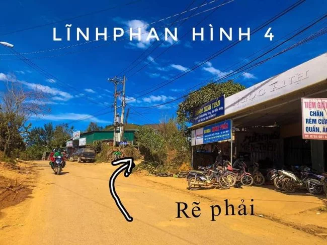 đường đi rừng hoa mai anh đào đà lạt