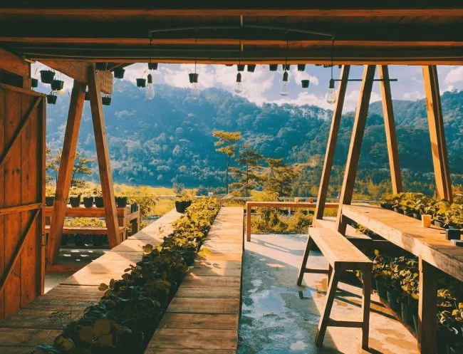 du lịch Đà Lạt tháng 5